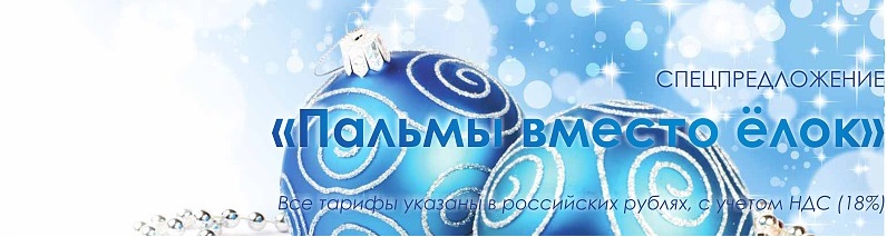 Новогоднее предложение от «Бархатные Сезоны» Город-Отель!